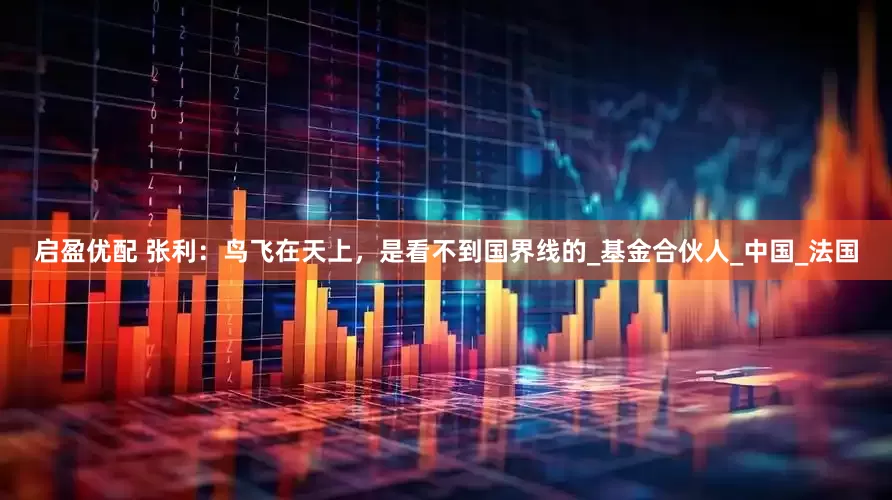 启盈优配 张利：鸟飞在天上，是看不到国界线的_基金合伙人_中国_法国