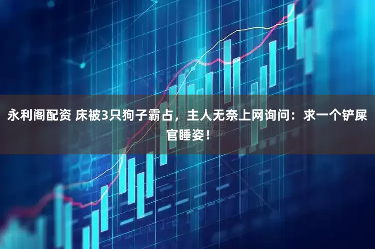 永利阁配资 床被3只狗子霸占，主人无奈上网询问：求一个铲屎官睡姿！