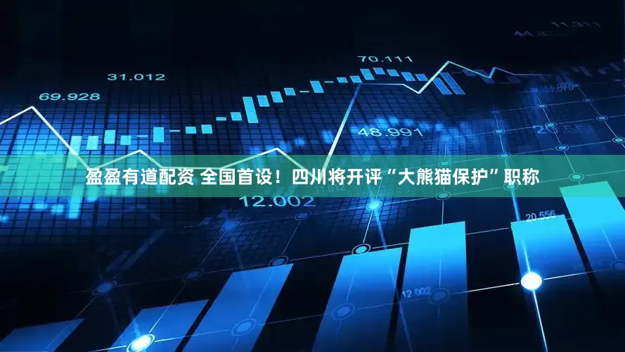 盈盈有道配资 全国首设！四川将开评“大熊猫保护”职称